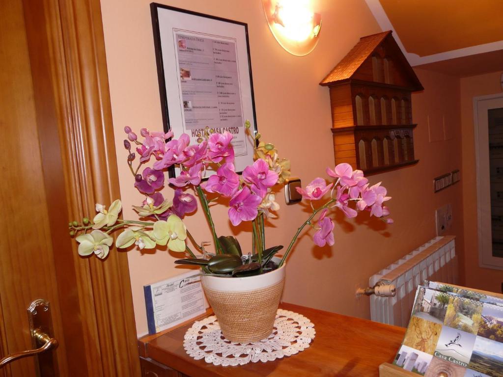 Hostal Rural Casa Castro Alberuela de la Liena Kültér fotó